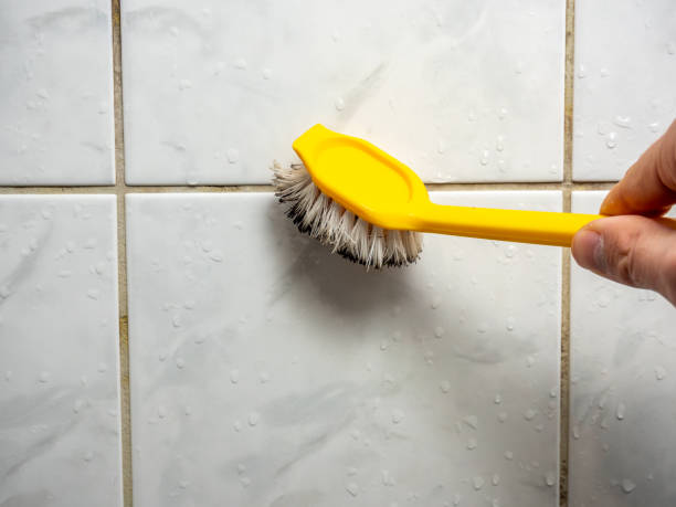 Best Mold Damage Repair  in Port Allen, LA