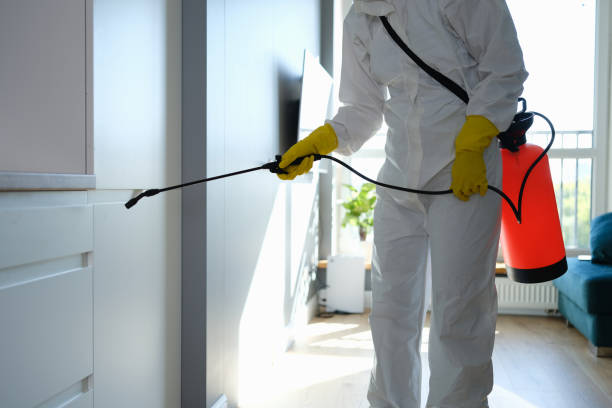 Water Damage Restoration in Port Allen, LA