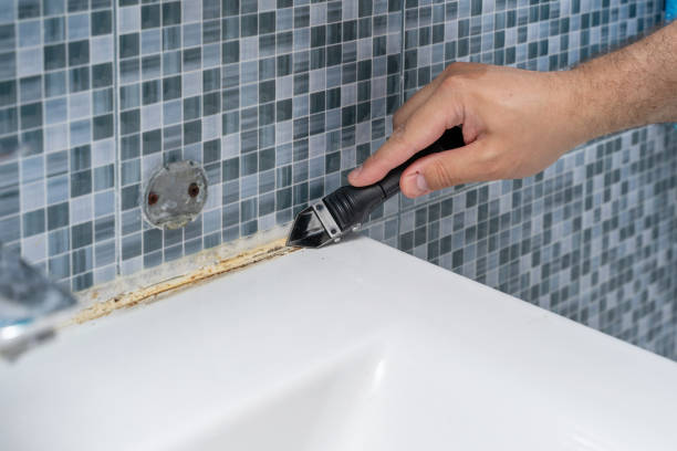 Best Attic Mold Removal  in Port Allen, LA