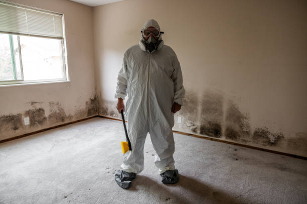 Port Allen, LA Mold Removal Company